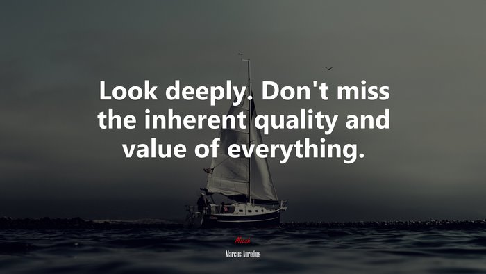 Look deeply. Don’t miss the inherent quality and value of everything. | Marcus Aurelius quote