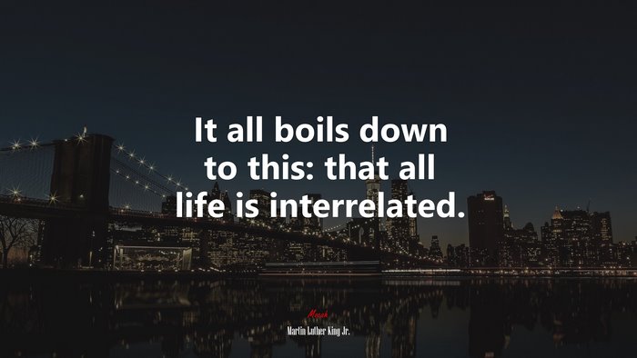 It all boils down to this: that all life is interrelated. | Martin Luther King Jr. quote