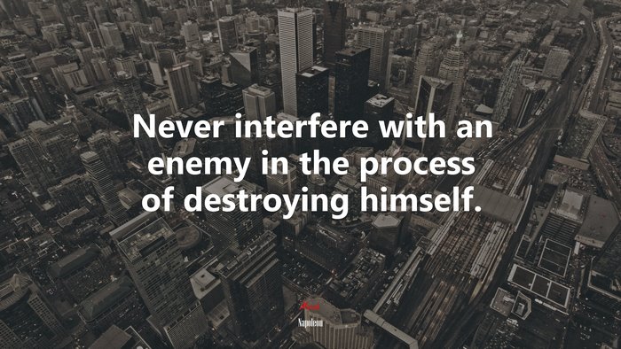 Never interfere with an enemy in the process of destroying himself. | Napoleon quote