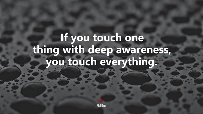If you touch one thing with deep awareness, you touch everything. | Nhat Hanh quote