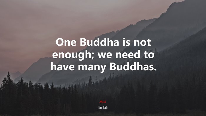 One Buddha is not enough; we need to have many Buddhas. | Nhat Hanh quote