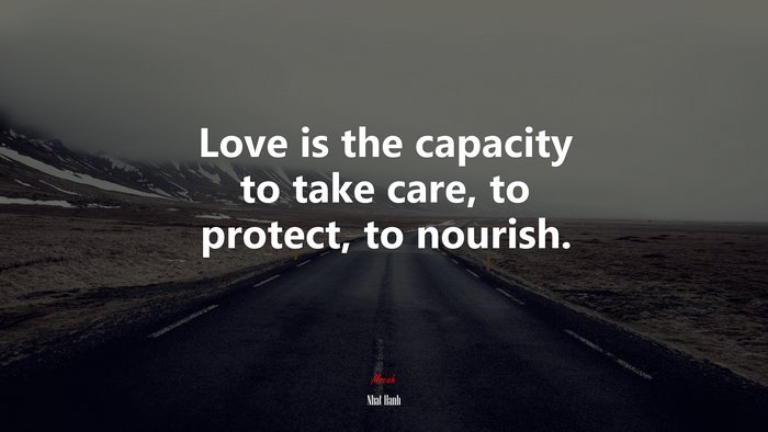 Love is the capacity to take care, to protect, to nourish. | Nhat Hanh quote