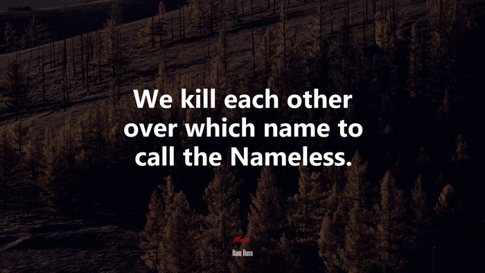 We kill each other over which name to call the Nameless. | Ram Dass quote