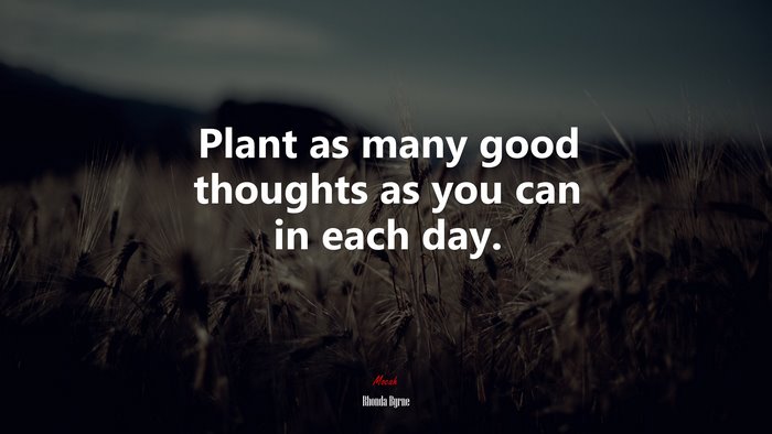 Plant as many good thoughts as you can in each day. | Rhonda Byrne quote