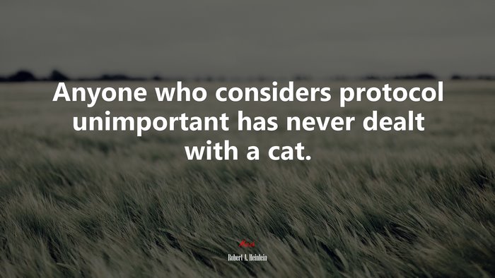 Anyone who considers protocol unimportant has never dealt with a cat. | Robert A. Heinlein quote