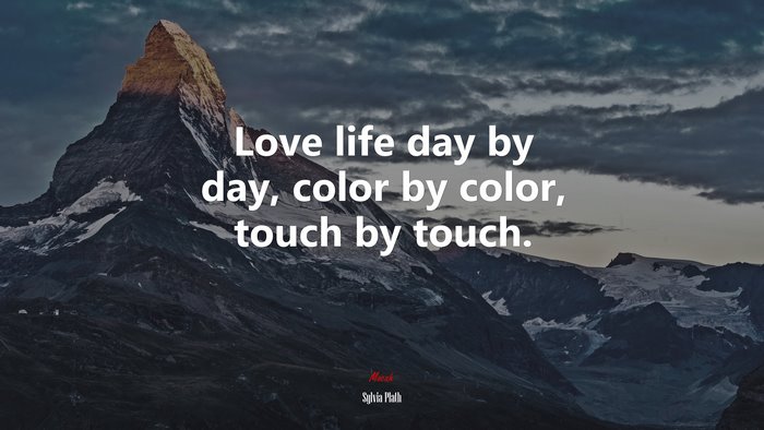 Love life day by day, color by color, touch by touch. | Sylvia Plath quote