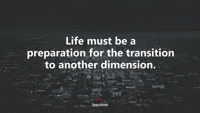 Life must be a preparation for the transition to another dimension. | Terence McKenna quote