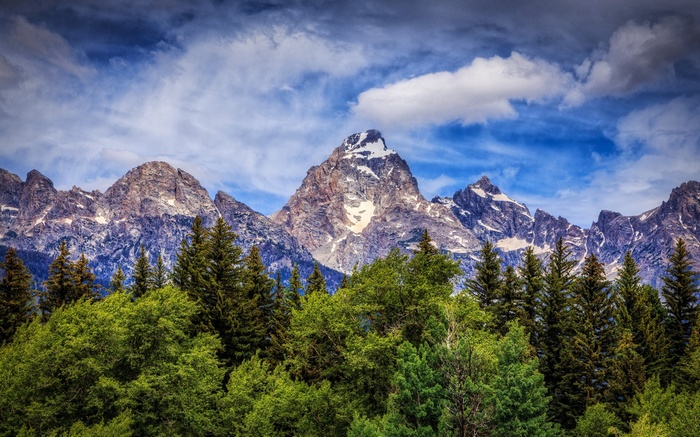 Grand Teton National Park mountains and forest