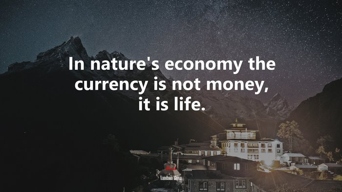 In nature’s economy the currency is not money, it is life. | Vandana Shiva quote