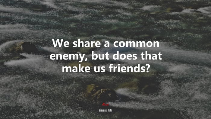 We share a common enemy, but does that make us friends? | Veronica Roth quote