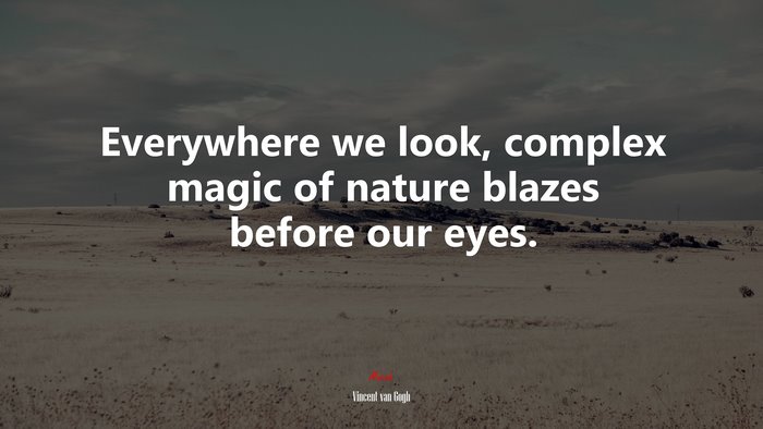 Everywhere we look, complex magic of nature blazes before our eyes. | Vincent van Gogh quote