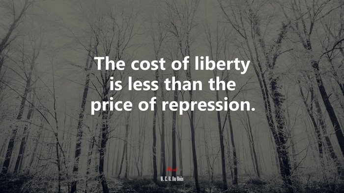 The cost of liberty is less than the price of repression. | W. E. B. Du Bois quote