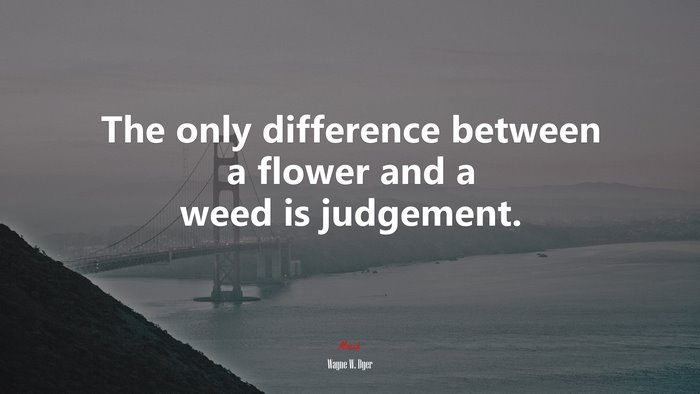 The only difference between a flower and a weed is judgement. | Wayne W. Dyer quote