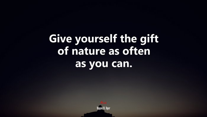 Give yourself the gift of nature as often as you can. | Wayne W. Dyer quote