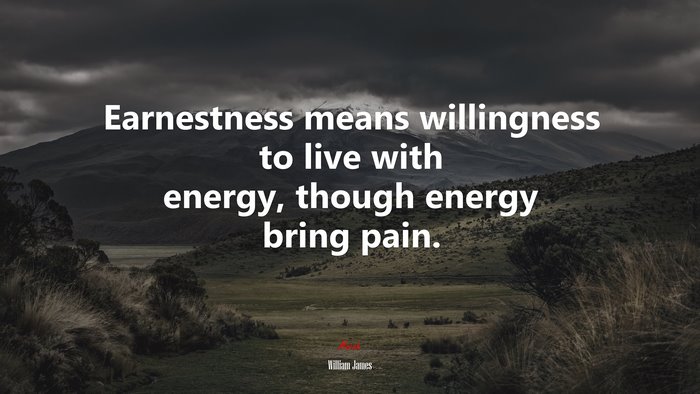 Earnestness means willingness to live with energy, though energy bring pain. | William James quote