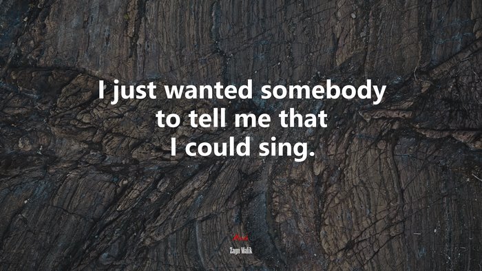 I just wanted somebody to tell me that I could sing. | Zayn Malik quote