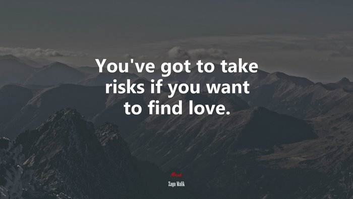 You’ve got to take risks if you want to find love. | Zayn Malik quote