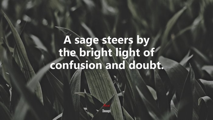 A sage steers by the bright light of confusion and doubt. | Zhuangzi quote