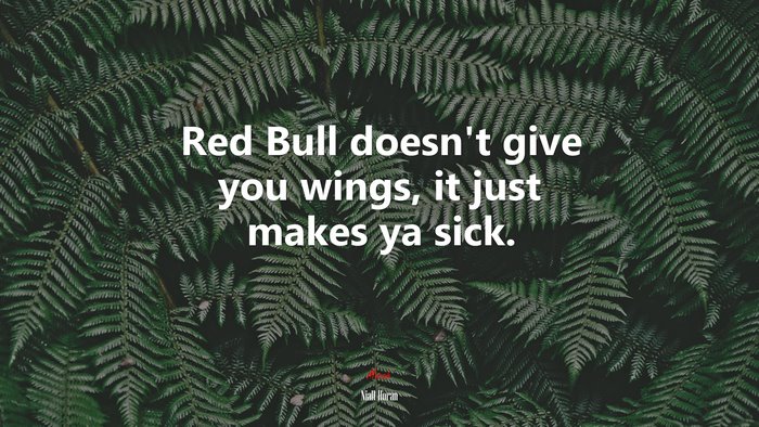 Red Bull doesn’t give you wings, it just makes ya sick. | Niall Horan quote