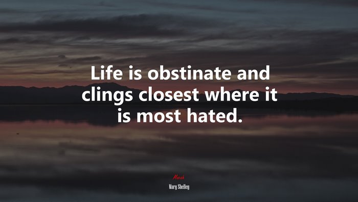 Life is obstinate and clings closest where it is most hated. | Mary Shelley quote