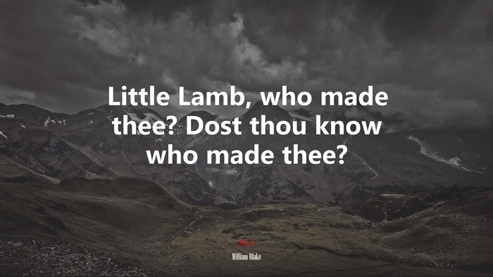 Little Lamb, who made thee? Dost thou know who made thee? | William Blake quote