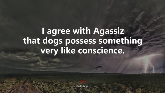 I agree with Agassiz that dogs possess something very like conscience. | Charles Darwin quote