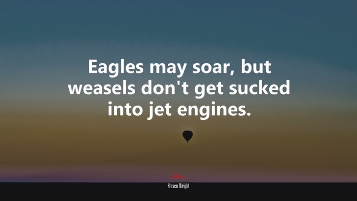 Eagles may soar, but weasels don’t get sucked into jet engines. | Steven Wright quote