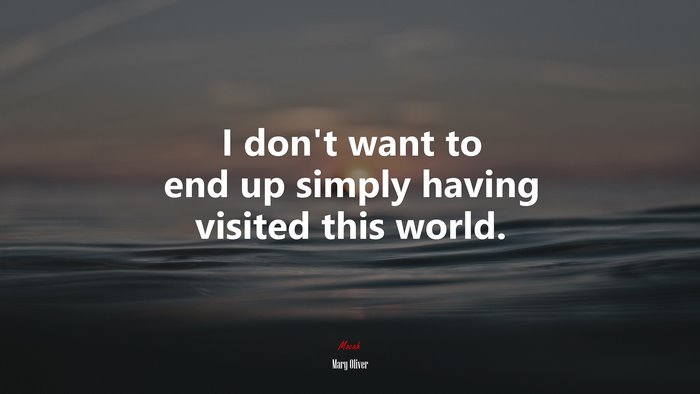 I don’t want to end up simply having visited this world. | Mary Oliver quote