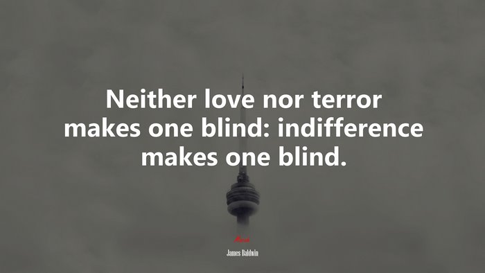 Neither love nor terror makes one blind: indifference makes one blind. | James Baldwin quote