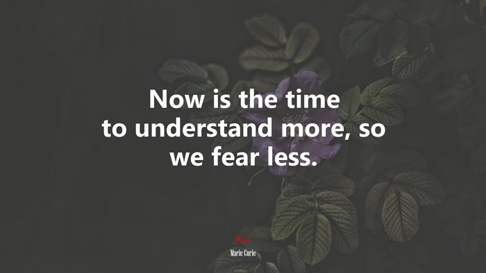 Now is the time to understand more, so we fear less. | Marie Curie quote