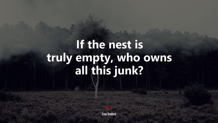 If the nest is truly empty, who owns all this junk? | Erma Bombeck quote