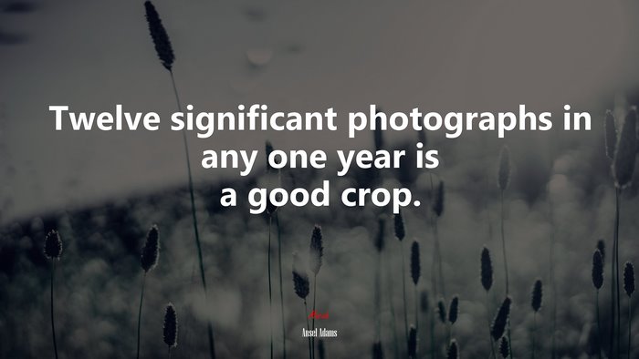 Twelve significant photographs in any one year is a good crop. | Ansel Adams quote