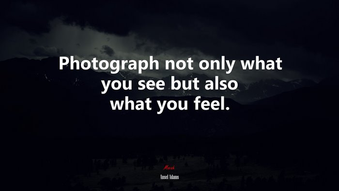 Photograph not only what you see but also what you feel. | Ansel Adams quote