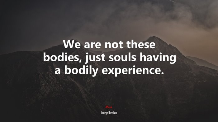 We are not these bodies, just souls having a bodily experience. | George Harrison quote