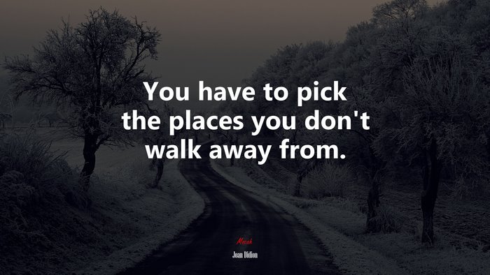 You have to pick the places you don’t walk away from. | Joan Didion quote