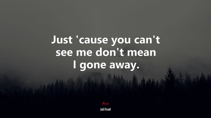 Just ’cause you can’t see me don’t mean I gone away. | Jodi Picoult quote