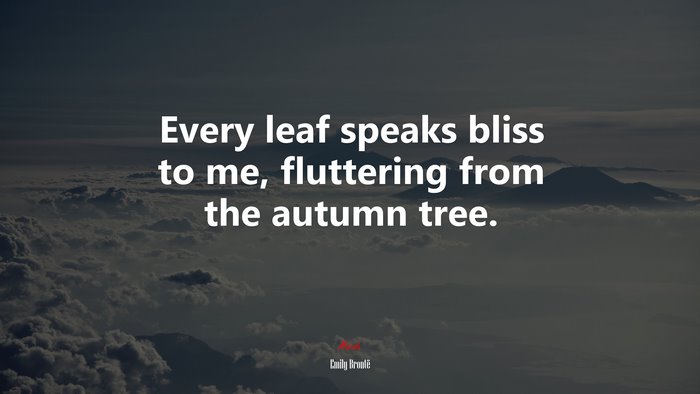 Every leaf speaks bliss to me, fluttering from the autumn tree. | Emily Brontë quote