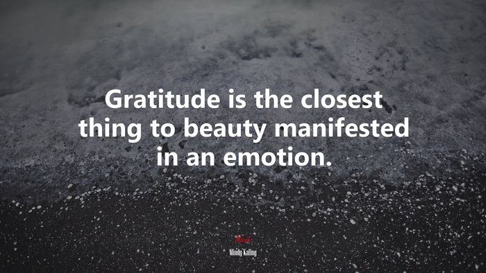 Gratitude is the closest thing to beauty manifested in an emotion. | Mindy Kaling quote