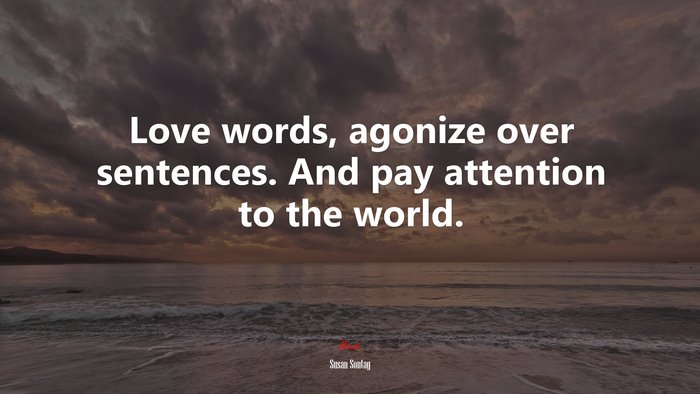 Love words, agonize over sentences. And pay attention to the world. | Susan Sontag quote