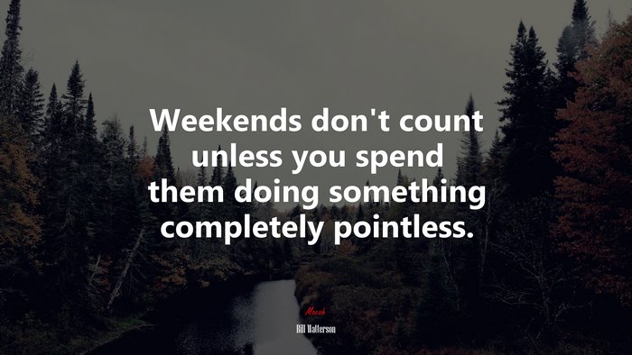 Weekends don’t count unless you spend them doing something completely pointless. | Bill Watterson quote