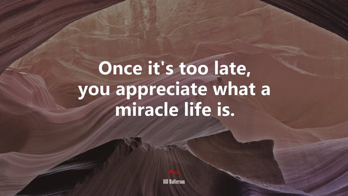 Once it’s too late, you appreciate what a miracle life is. | Bill Watterson quote