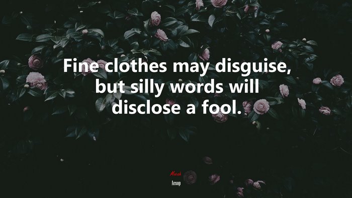 Fine clothes may disguise, but silly words will disclose a fool. | Aesop quote