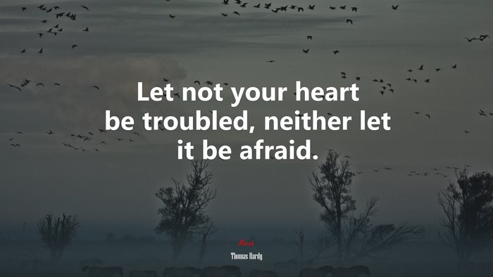 Let not your heart be troubled, neither let it be afraid. | Thomas Hardy quote