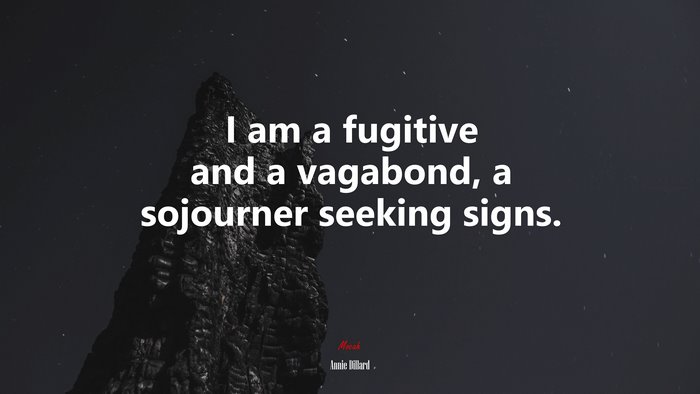 I am a fugitive and a vagabond, a sojourner seeking signs. | Annie Dillard quote