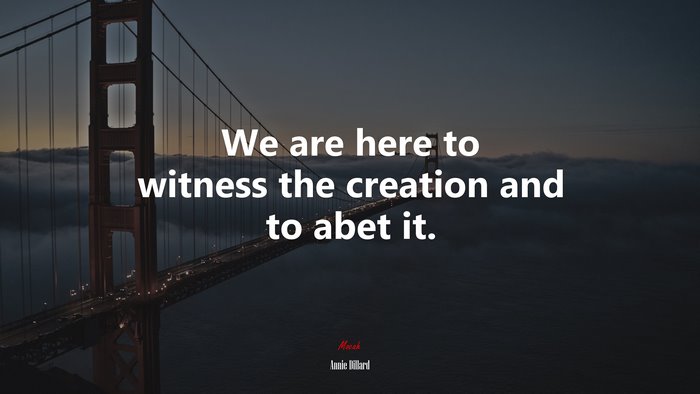 We are here to witness the creation and to abet it. | Annie Dillard quote