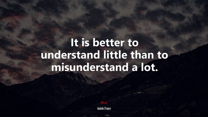 It is better to understand little than to misunderstand a lot. | Anatole France quote
