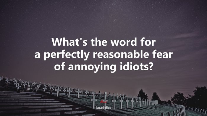 What’s the word for a perfectly reasonable fear of annoying idiots? | Cassandra Clare quote