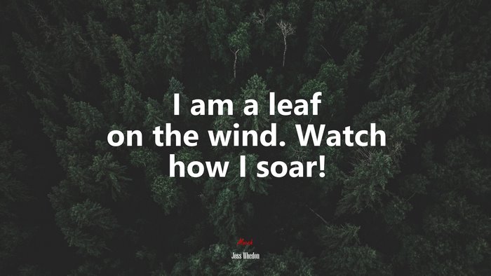 I am a leaf on the wind. Watch how I soar! | Joss Whedon quote