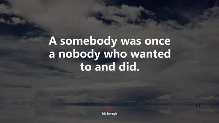A somebody was once a nobody who wanted to and did. | John Burroughs quote