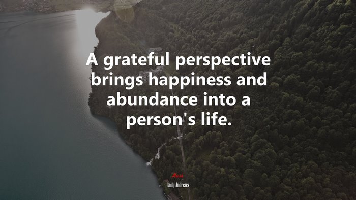 A grateful perspective brings happiness and abundance into a person’s life. | Andy Andrews quote